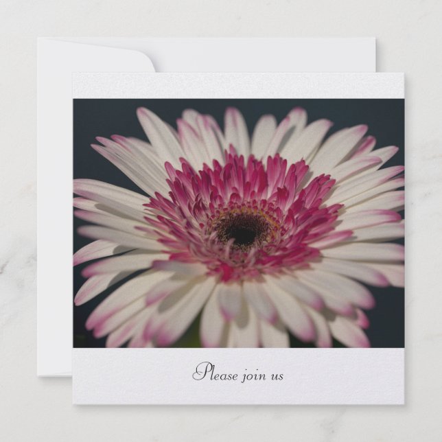 Convite Gerbera (Frente)