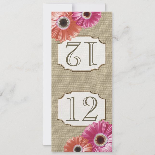 Convite Gerbera Daisy Pink e Coral Table Number (Frente)