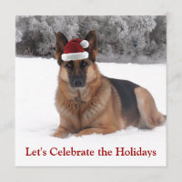 German shepherd do feriado