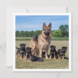 Convite German shepherd personalizável com uppies adaptáve