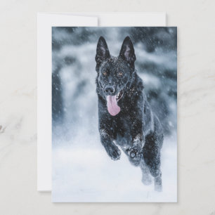 Convite German shepherd preto no Cobrir da escova de neve
