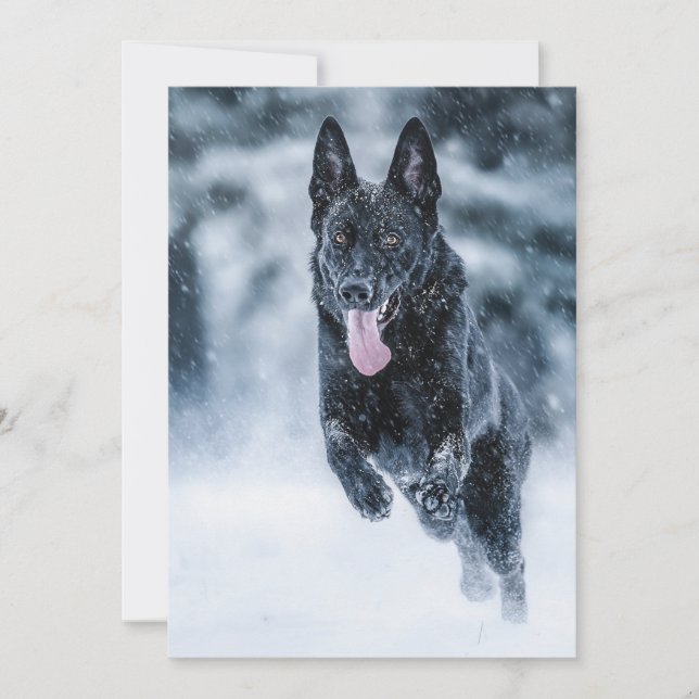 Convite German shepherd preto no Cobrir da escova de neve (Frente)
