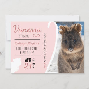 Convite Girls Second Birthday Blue Quokka Austrália Foto