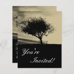 Convite Glastonbury Hawthorn. Árvore em Hill. Sepia Color.