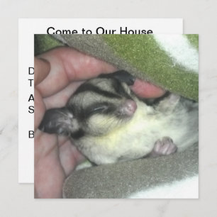 Convite Glider de Açúcar Dormindo em Aberto