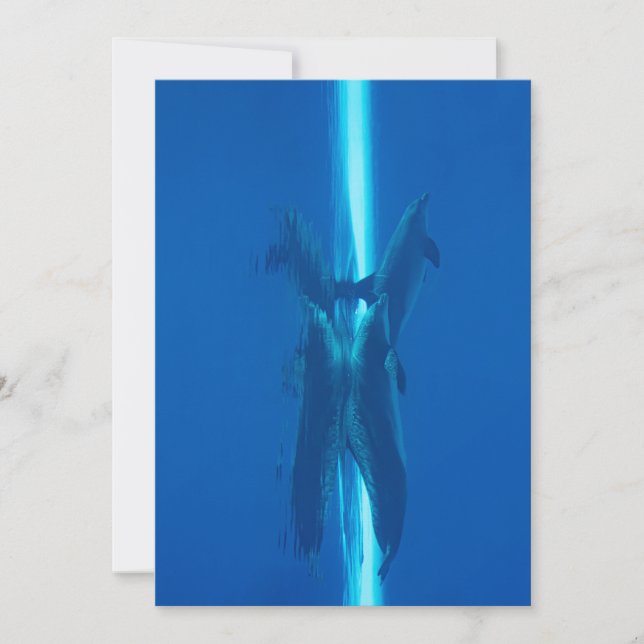 Convite Golfinhos e reflexões águas oceânicas azuis (Frente)