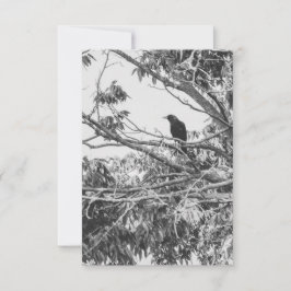 Convite Gothic Raven Postcard