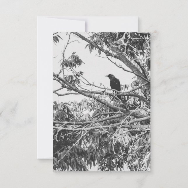 Convite Gothic Raven Postcard (Frente)