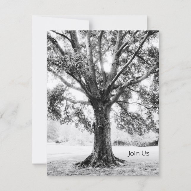 Convite Grande (Frente)