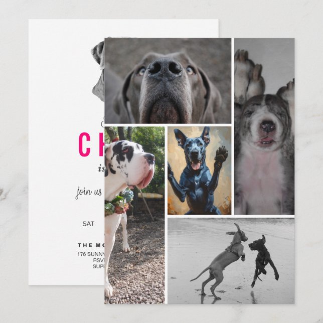 Convite Great Dane (Frente/Verso)