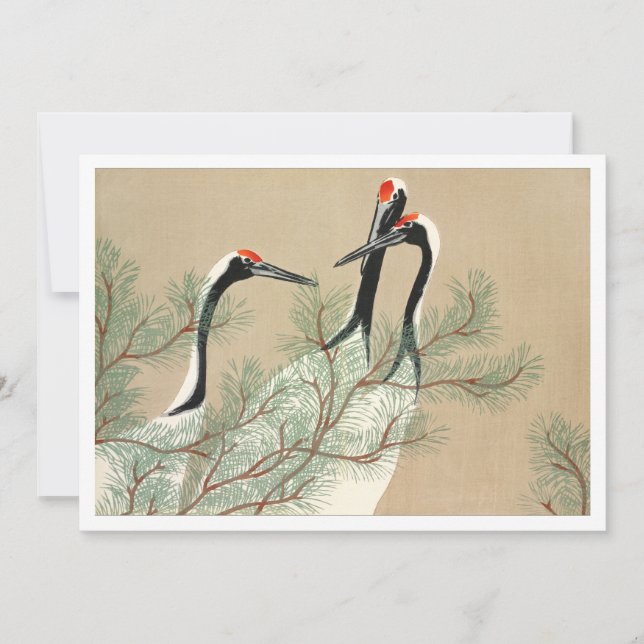 Convite Gruas a descarregar de Momoyogusa (Frente)