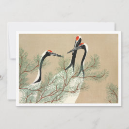 Convite Gruas a descarregar de Momoyogusa