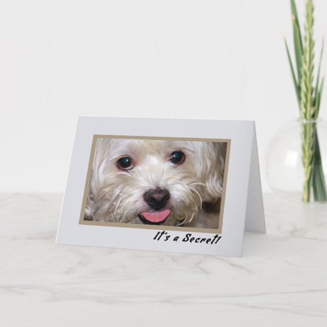 Convite Grupo de Convidados Secretos para o Filho a Regres (Frente)