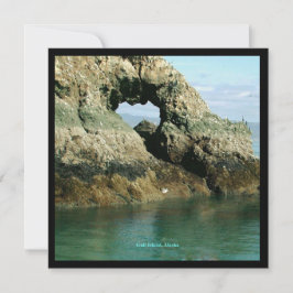 Convite Gull Island, Alaska