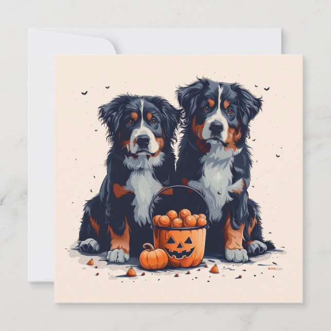 Convite Halloween Bernese Mountain Dogs Pumpkin (Frente)