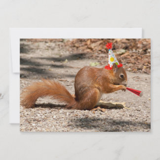 Convite Happy Birthday Squirrel