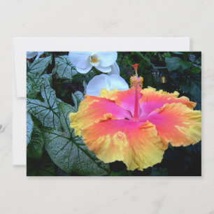 Convite hibisco