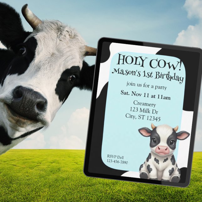 Convite Holy Cow, blue, cow 1st Birthday (Criador carregado)
