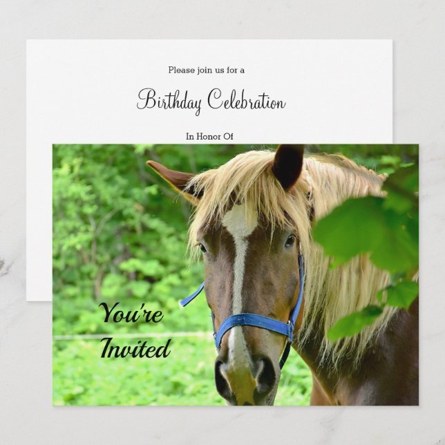 Convite Horse Brown Belgium Draft Photo Birthday (Frente/Verso)