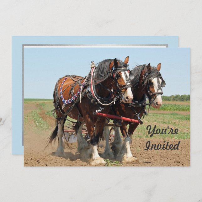 Convite Horse Clydesdale Farming Foto de Aniversário (Frente/Verso)