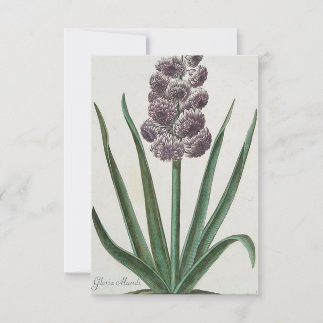 Convite Hyacinth (Gloria Mundi) (Frente)