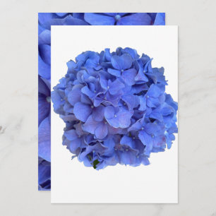 Convite Hydrangeas florais elegantes de periguito azul