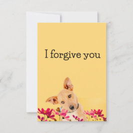 Convite i forgive you flower dog