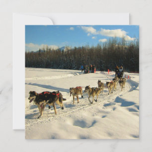 Convite Iditarod Trail Sled Race