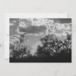 Convite Iluminação traseira do pincel (Deserto do AZ Sonor