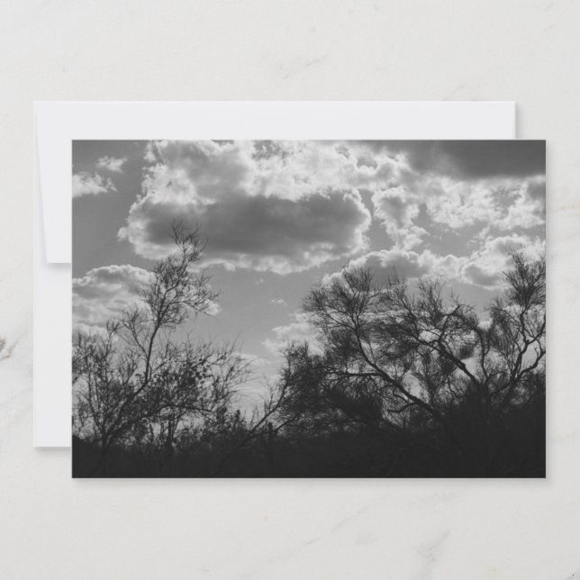 Convite Iluminação traseira do pincel (Deserto do AZ Sonor (Frente)