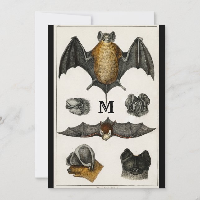 Convite Ilustração de Botão de Presente Personalizado de M (Frente)