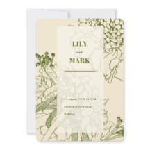 Ilustração de linha de flor de Scabiosa de jardim.