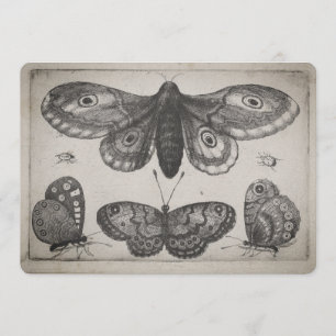 Convite Ilustração dos Lepidoptera da traça do vintage
