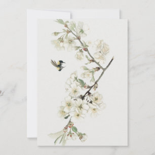 Convite Ilustração vintage de flor de macieira