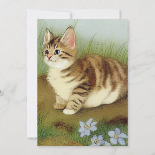 Convite Ilustração Vintage Kitten com Flores
