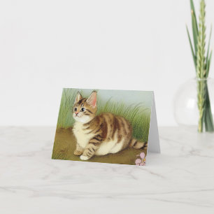 Convite Ilustração Vintage Kitten com Flores