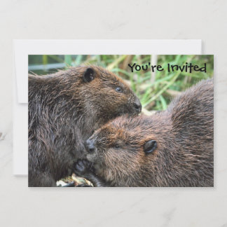 Convite Imagem de Beavers Grooming