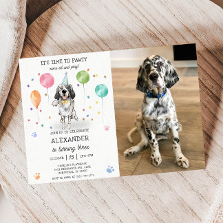Convite Inglês Setter Pawty Dog Puppy Birthday Blue Foto
