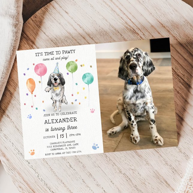 Convite Inglês Setter Pawty Dog Puppy Birthday Blue Foto (Criador carregado)