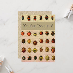 Convite Inseto do Inseto Ladybug Ladybird Beetle