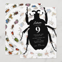 Insetos Coloridos Escaravelhos Tema de Festa de an