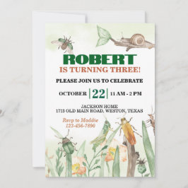 Convite Insetos e Aniversário do Caracol