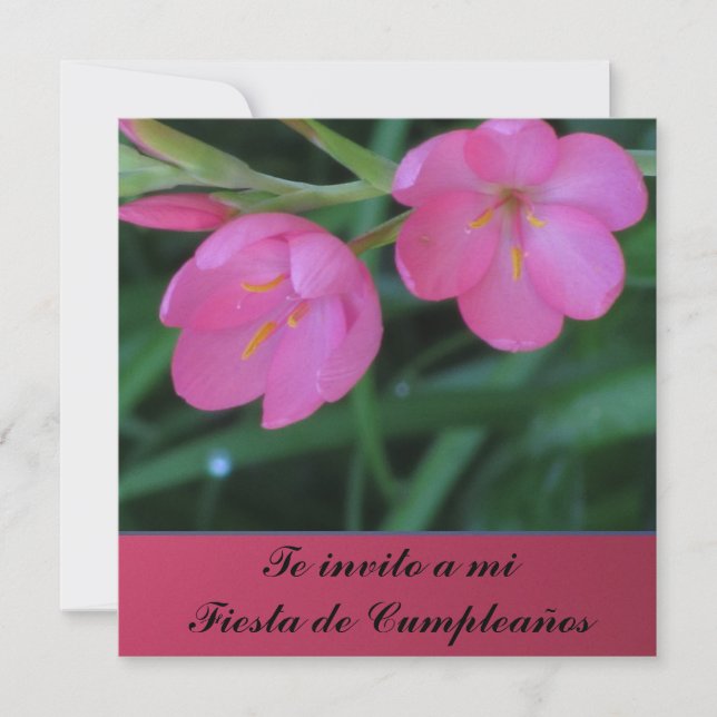 Convite Invito de Invitación - de Te um MI Festa de (Frente)