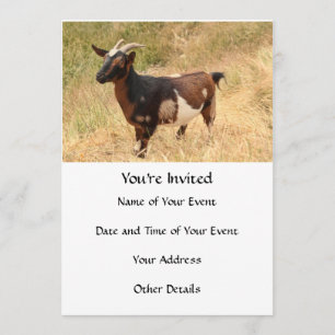 Convite Ir para Imagem