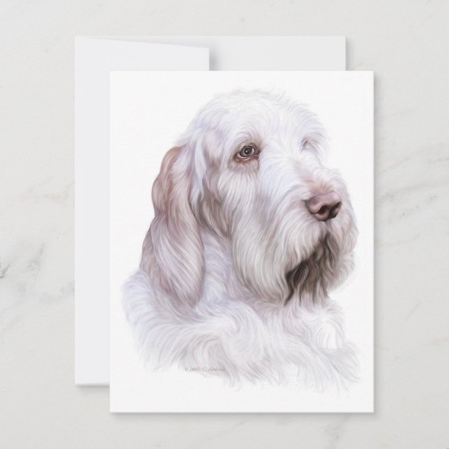 Convite Italiano Spinone Italiano (Frente)