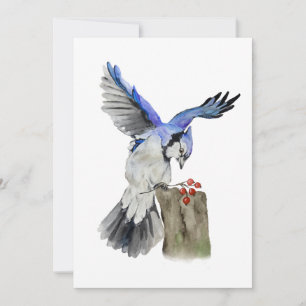 Convite Jay azul-marinho