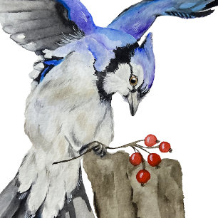 Convite Jay azul-marinho