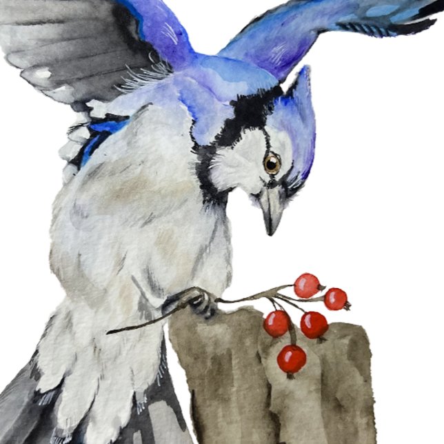 Convite Jay azul-marinho (Criador carregado)