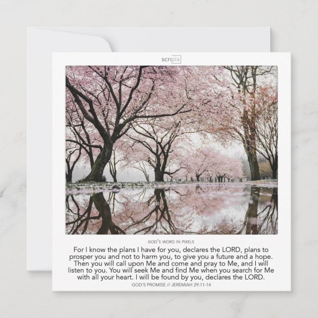 Convite Jeremiah 29:11 - 14 GOD'S PROMISE SCRIPIX (Frente)