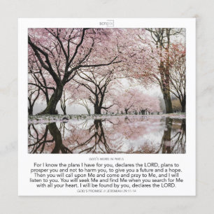 Convite Jeremiah 29:11 - 14 GOD'S PROMISE SCRIPIX